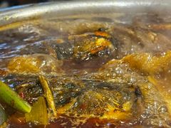 -肖肖酸萝卜鱼火锅(总店)