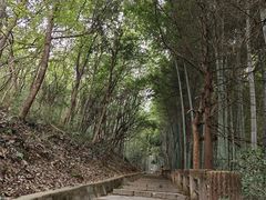 -敬亭山风景名胜区