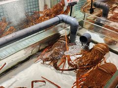 -万龙洲海鲜(南新仓店)