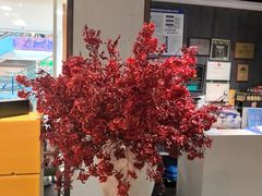 -小大董·烤鸭(王府井apm店)
