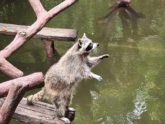 -长鹿旅游休博园