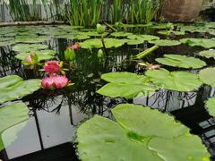 -国家植物园南园