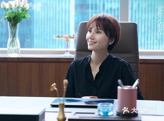 『精英律师』 题材：职场、剧情 演员：靳东、蓝盈莹