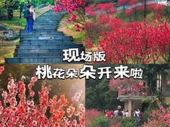 -桃花涧
