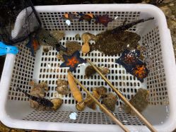 -钓虾工场·钓虾·赶海(回龙观店)