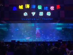-泉城欧乐堡海洋极地世界