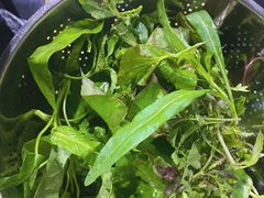 -黔府豆米火锅野菜馆(南马店)