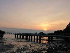 -宝安西湾红树林湿地公园