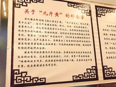 -九斤黄三黄鸡专卖店