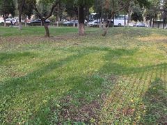 -辽宁大学(崇山校区)