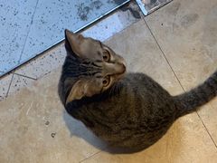 -逃脱反斗城沉浸剧情密室(北京路店)