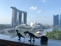 -新加坡丽思卡尔顿美年酒店