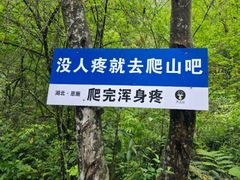 -鹿院坪生态旅游景区