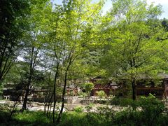 -车溪民俗旅游区