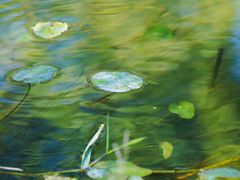 -奥林匹克森林公园北园-停车场