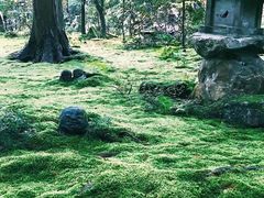 -三千院