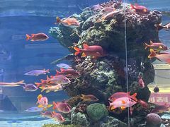 -正佳极地海洋世界