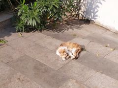 -苏州河梦清园环保主题公园