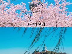 -颐和园