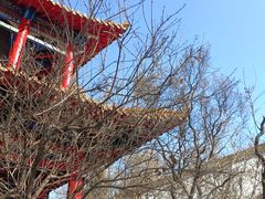 -哈尔滨极乐寺
