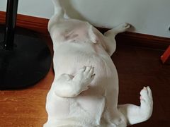 -一品飘香米线(一中总店)