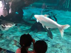 -华夏文旅海洋公园