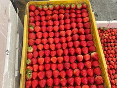 -西郊国际农产品交易中心