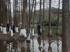 -重庆彩云湖湿地公园