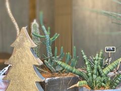 -山下C5cafe(惠通时代广场店)