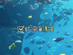 -长鹿旅游休博园