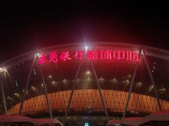 -东莞银行篮球中心