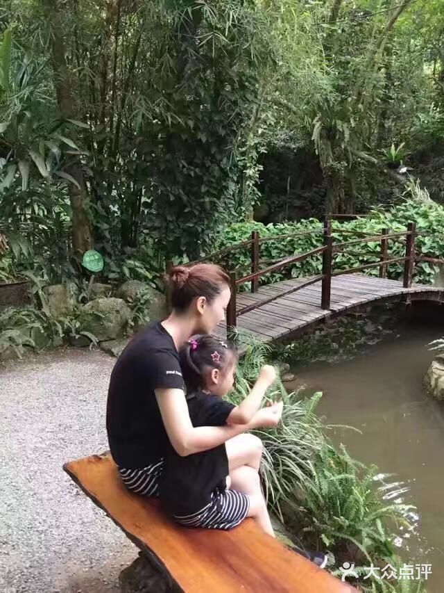 呀诺达热带雨林图片