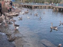 -鄂尔多斯野生动物园