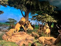 -国家自然博物馆