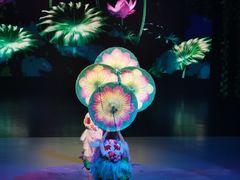 -重庆国际马戏城