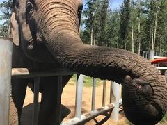 -秦皇岛野生动物园