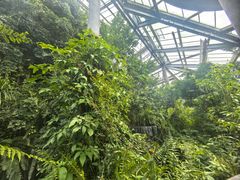 -华南国家植物园-售票处