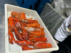 -初色海鲜自助(万丰路店)