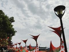 -巢湖姥山岛