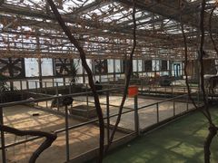 -万源龙顺度假庄园生态观光园