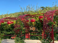 -采薇庄园四季滑雪场