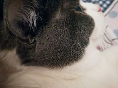 -麦当劳(南京水西门大街店)