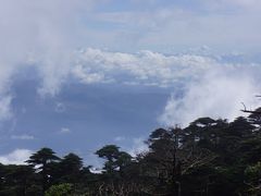 -苍山感通索道