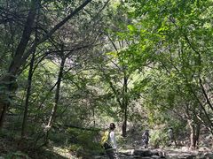 -龙洞风景区-藏龙涧