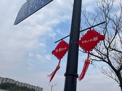 -上海市第六人民医院(临港院区)