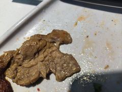 -木槿花開