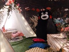 -佐佑帐篷环游记(南锣鼓巷店)