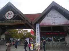 -上海海湾国家森林公园