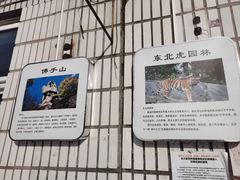 -横道佛手居筋饼店