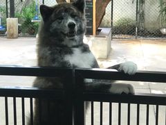 -TrueLove @ Neverland (Husky Cafe)